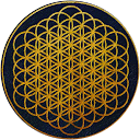 Danny Papke profile picture