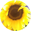 Melissa Gilmore profile picture