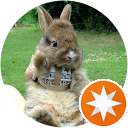 Sammie PYO profile picture