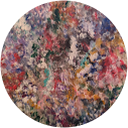 Johanna Kelly profile picture