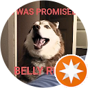 David Brown profile picture