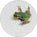 Cheryl Landers profile picture