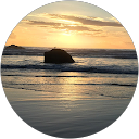 Carol Frank profile picture