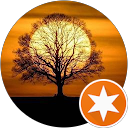 lyn waiya profile picture