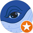 Liz Wilson profile picture