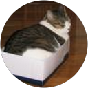 Kate Bender profile picture