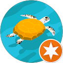 David profile picture