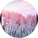 Kyra Nicholson profile picture