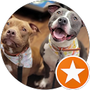 Kari S profile picture