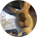 Alyssa W profile picture