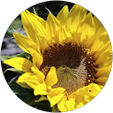 Kara D profile picture