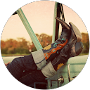 Lisa Fitch profile picture