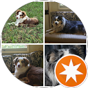 Angella Carroll profile picture