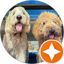 Heidi Zimmerman profile picture