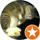 Kris Martens profile picture