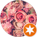 kayla nguyen profile picture