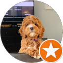 Barton Ives profile picture