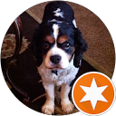 Kevin Marsh profile picture