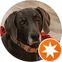 Brandon profile picture