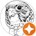 Icecream Jones profile picture