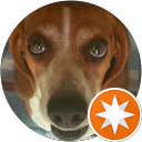 Jason Simmons profile picture