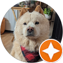 Telly Powers profile picture