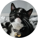 Ayame Zaeske profile picture