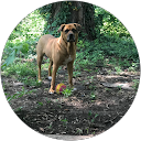alrightcomputer profile picture