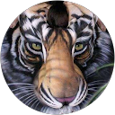 jc Hola profile picture