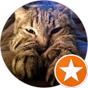 Tim B profile picture